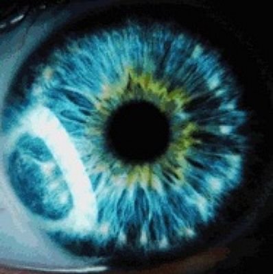 SabiasqueLodijo's profile picture. #frases #personajescelebres #dichos #pensamientos #menciones #palabras, Frases y palabras importantes en la vida humana, reflexión y amor