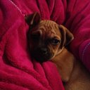 Joanne Lamb - @lamb_joanne - Twitter