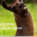 Brian contreras - @plzlike1232 - Twitter