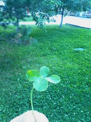 bartai355's profile picture. 