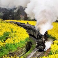 twtom (@ichiro0026) 's Twitter Profile Photo