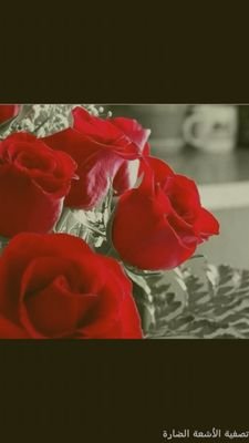 إن أجمل الدروس ماكان فوضى . ،،&