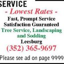 Ted Byrne - @AllTreeService1 - Twitter