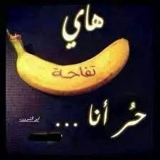 ‏احب الاستهبال العباطه ماحب احد يعكر مزاجي احب صديقاتي نودي وامون وزهور وعيوش المهم كلهم انسانه بشوشه تغلط علي اكلك بسنوني وايش كمان خلاص خلصناء ‏~#بنت_اليمن