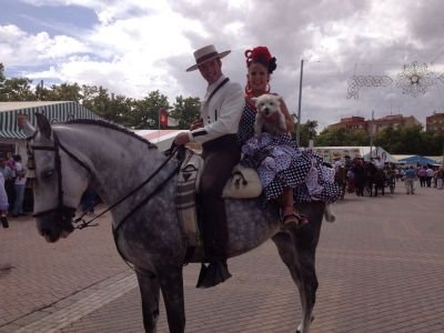 mimimelgarejo's profile picture. Estudiante de educacion infantil, Murcia. Mis nuevos proyectos, mueven mi locura.. Albacete