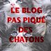 Marjorie (@blogderkatze) Twitter profile photo