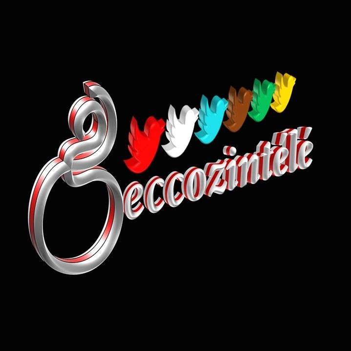 Geccozintele's (GiSDIC) South Deutsche Investment Corporation, MACOBANKCORP & TAZCO Funded  The Invention Of The ZANNAMMANN  Reinforced Interlock Building Block