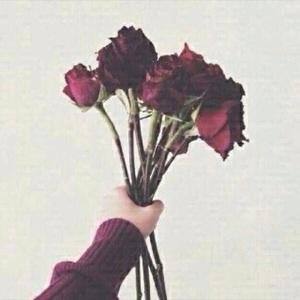 @MERO6672عشان انا احب ابتسامتك الله لايخلي للحزن بقلبك مكان:(.