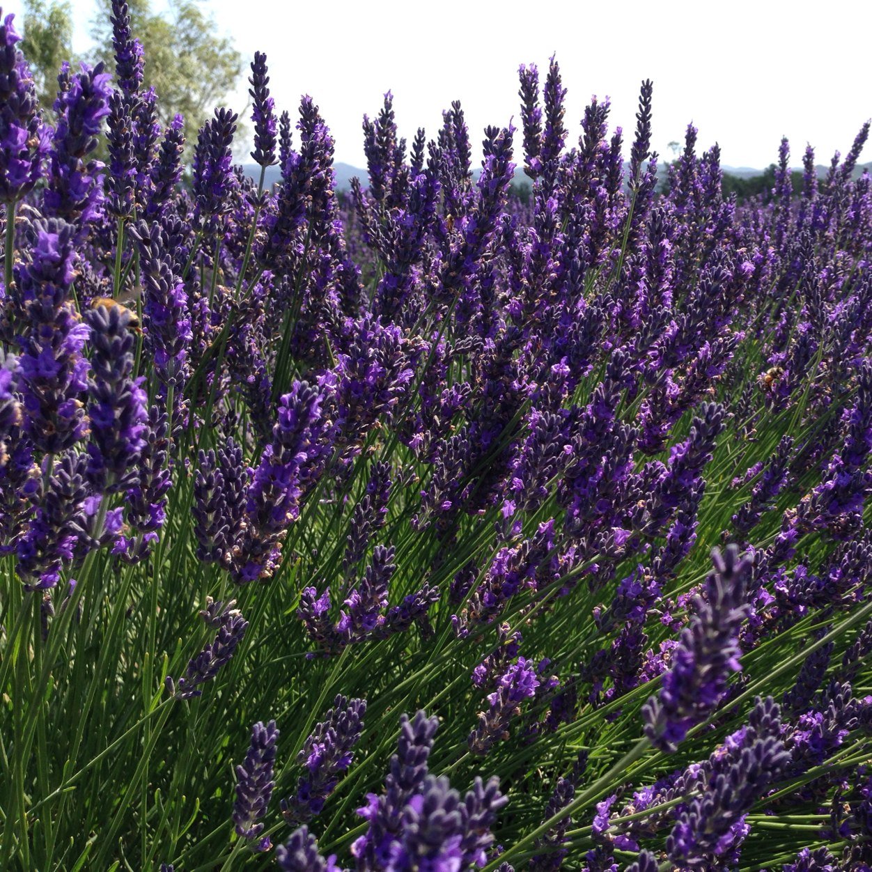 cathrandall's profile picture. 