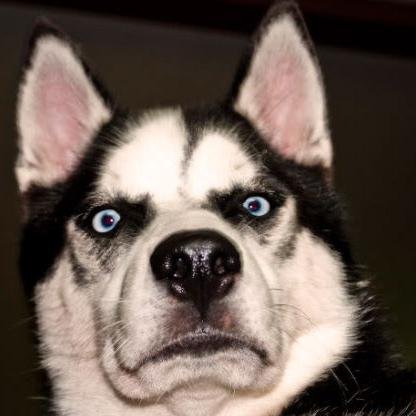 altos91's profile picture. 