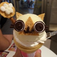 ༺ばな ̀༻ (@yudai0525) Twitter profile photo