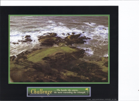 gggolfie1's profile picture. I need your help.Humans are limitless.Stop creating problems.