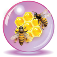 Beekeeping HQ (@beekeepinghq) 's Twitter Profile
