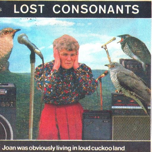 Amateur naturalist; birds, plants, butterflies, iRecord, family history.