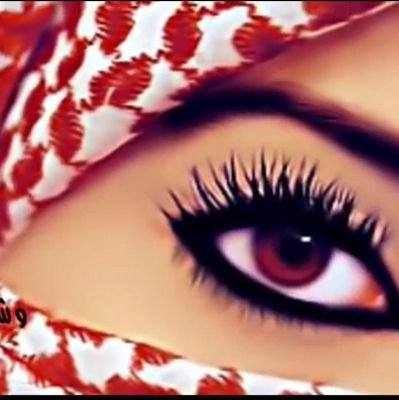 || فيًنُےً هدّوْء آلڪَوכּ وفيًنُے جنُونُـِہَ . . ๑..