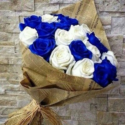 www75621733's profile picture. تابعوني