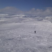 George Henderson(@cairngorms) 's Twitter Profile Photo