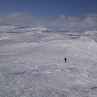 George Henderson (@cairngorms) 's Twitter Profile
