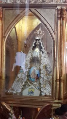 javierdario2000's profile picture. Abogado que lucha por la prevalencia del Estado de Derecho en Venezuela