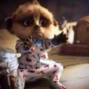 Wilbert Williams - @bhagavankrishn1 - Twitter