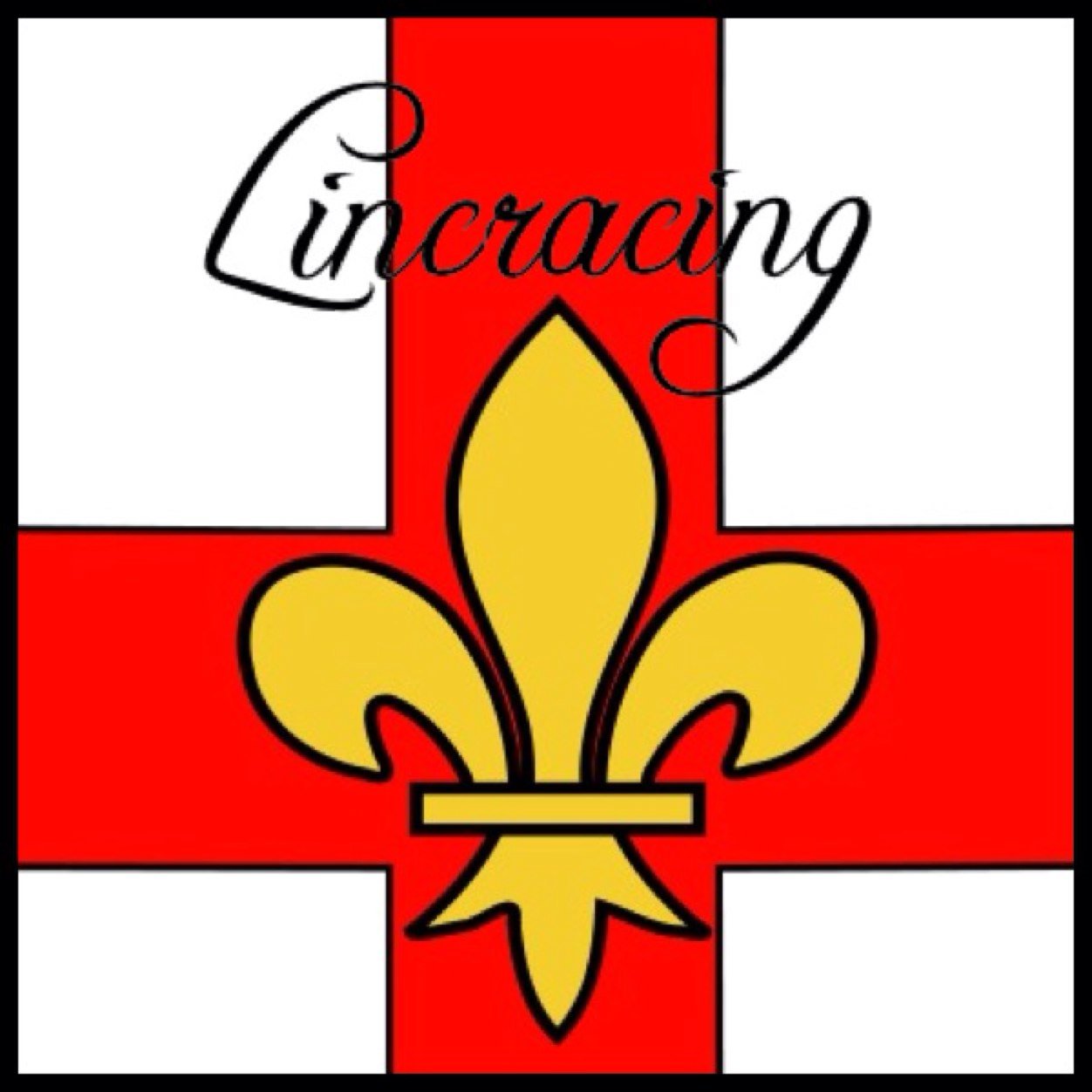 Lincracing's profile picture. Horseracing syndicate. Owners of @Resistant_Bull, Manhattan Avenue, Cuban Missile, Centrehalf Forward and Hincredible. We punt, eat steak and drink alot.