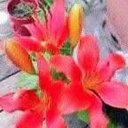 Ginger Perry - @58_ginger - Twitter