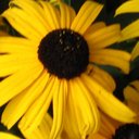 Pam Small - @PamSmall22 - Twitter