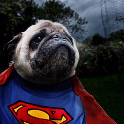 Local Hero