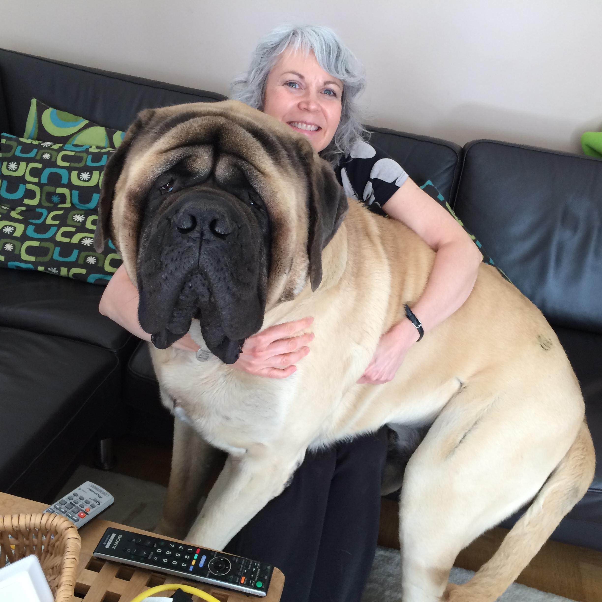 Freelance copywriter, voiceover artist and mastiff fan who loves big ideas and heartfelt communication. Head of Kind Regards, ApS.