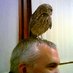 kevin parr (@kevin_parr) Twitter profile photo kevin parr (@kevin_parr) Twitter profile photo