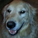 Andrew Willard - @deadcat68 - Twitter