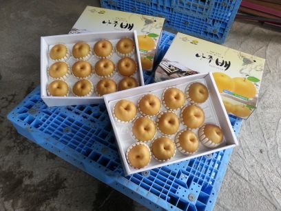 1skms59135913's profile picture. 농장직영  나주배판매  배즙판매  전국택배가능  010  4109  9792