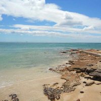 Hussain Alshabib (@haalshabib) 's Twitter Profile Photo