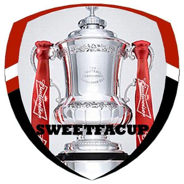 Conquered the FA Cup 14/15