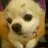 kazuepipi's profile image