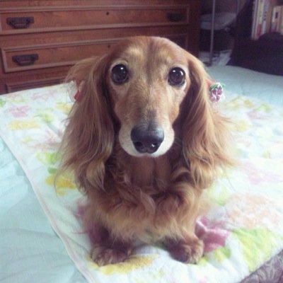 エレカシLOVE❤️スカパラLove❤️不定期で呟いてます😊