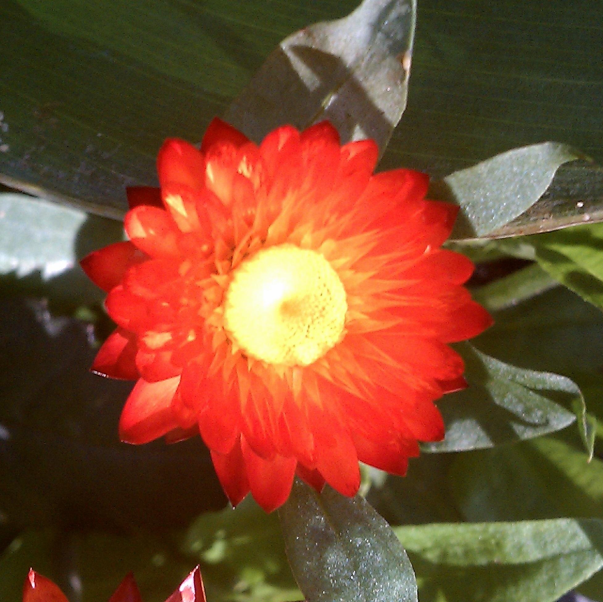 becky_laplante's profile picture. 