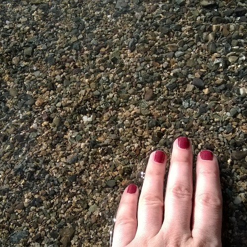 juliatacch's profile picture. 