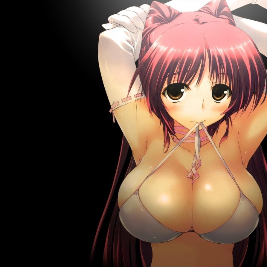 Hans64798458's profile picture. 