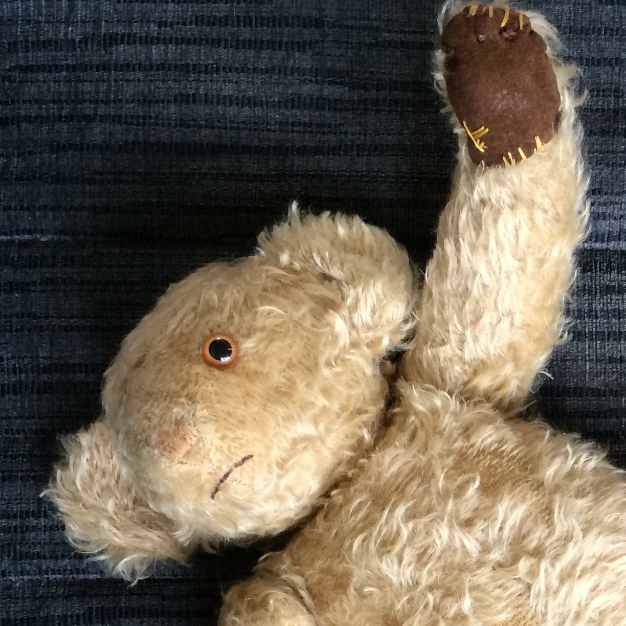 I'm just a poor bear, I need no sympathy.