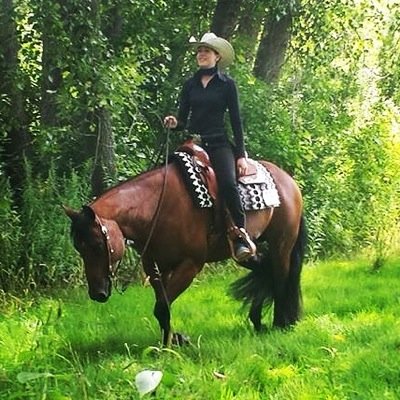saddle up and follow your dreams