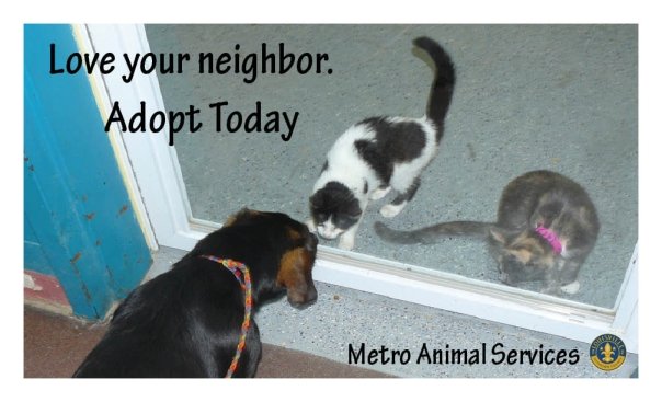 Metro Animal Services' volunteers who want to partner w/rescues & individuals to save more homeless pets.