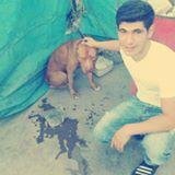 uğur şahin