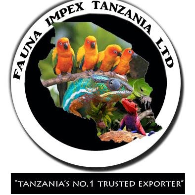 We are the largest wholesaler of Insect, Reptiles,Amphibian and Birds from Tanzania