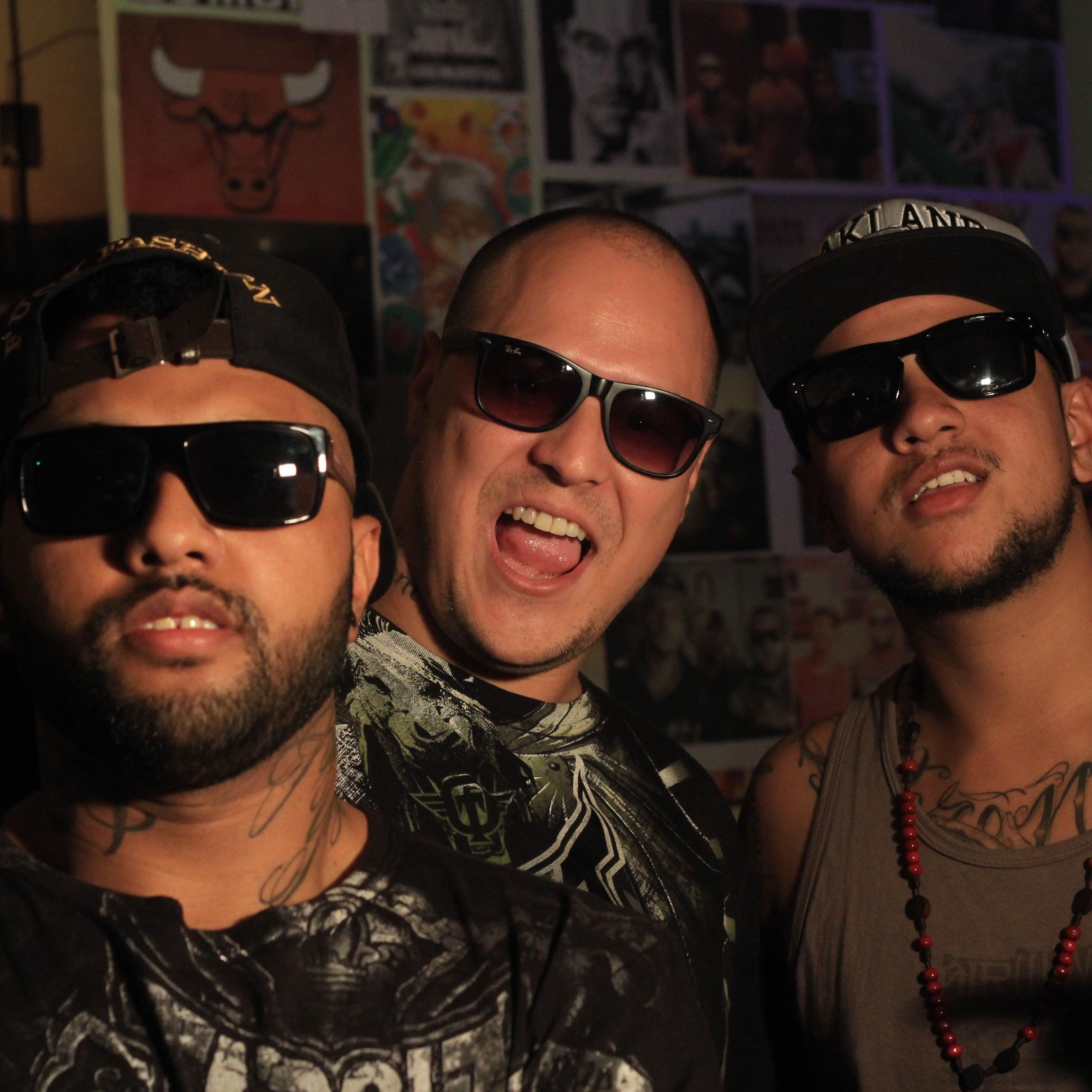 Vibe Soul surgiu em 2001 na cidade de Joinville SC com a mesma formação dos três integrantes existente até hoje, com Catata e Chong nos vocais e Fábio como DJ.