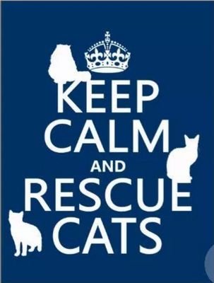 aquinones1979's profile picture. 