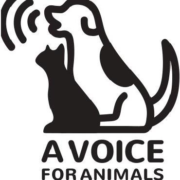 AVA_ECU's profile picture. We are a student run organization at ECU concerned with the welfare of shelter and stray cats and dogs!