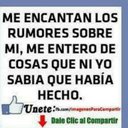 Erica Panesso (@0603panesso) Twitter