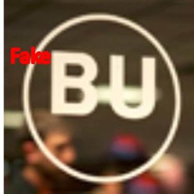 We are the team on campus to make sure we are the fakest dining twitter account at BU. There are no other accounts faker than us, this profile is so fake!