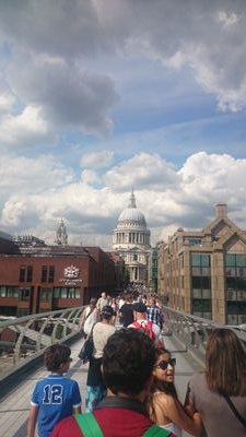 scamilo3154's profile picture. 